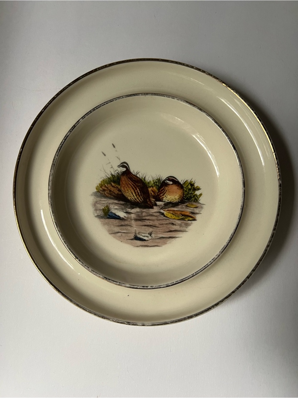 Vintage Dennis Puleston Ceramic Double rimmed Plate with Quail by Hickok.